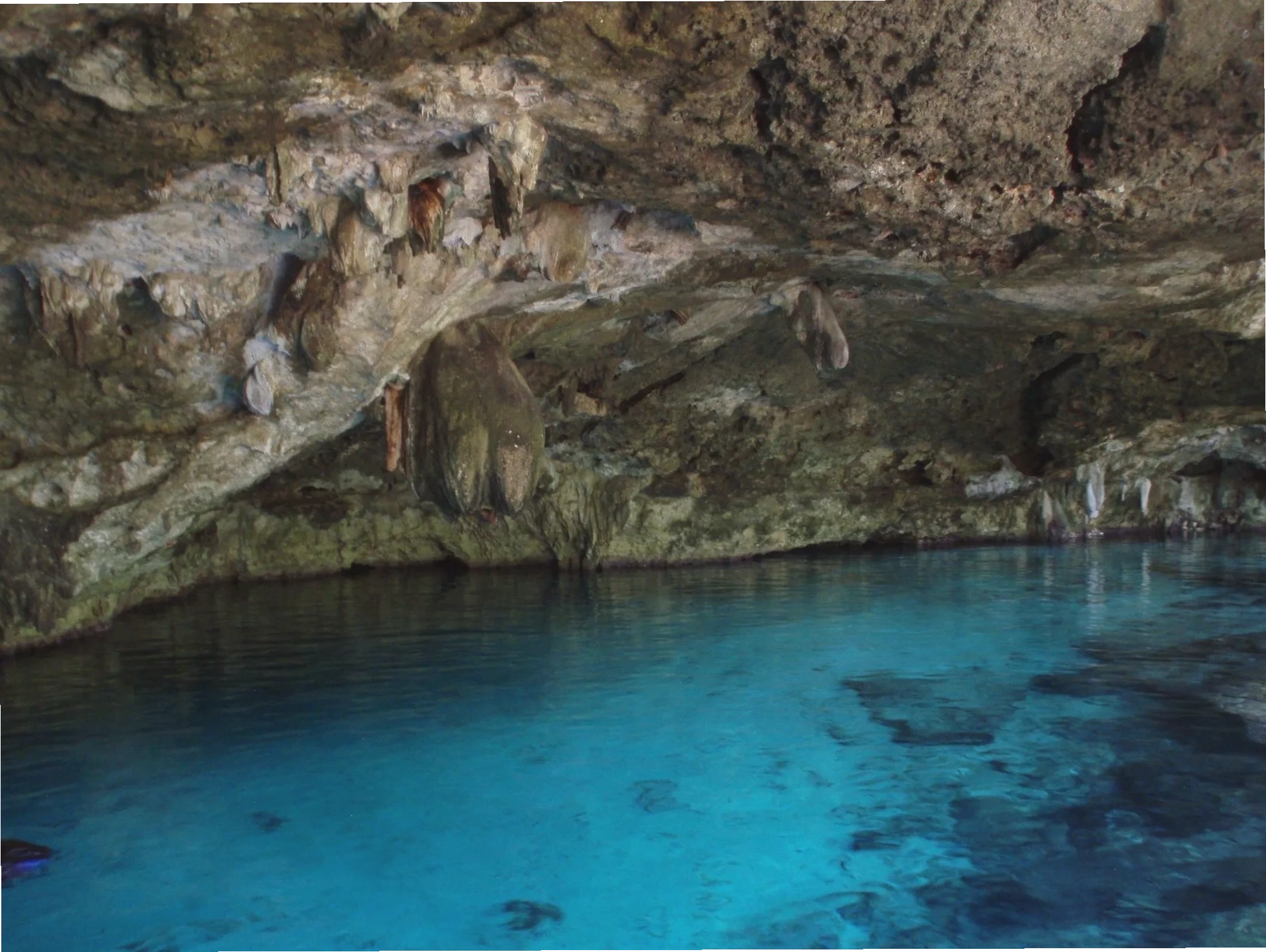 Cảnh quan dưới nước tại hang Dos Ojos, Mexico