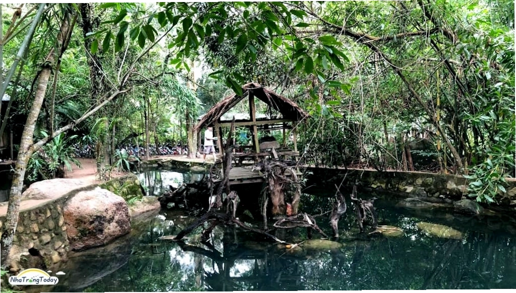Cảnh quan hai bên bờ Suối Lách với cây cối um tùm và dòng nước chảy róc rách