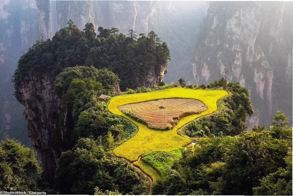 Cảnh quan kỳ vĩ của Công viên rừng quốc gia Zhangjiajie, Trung Quốc