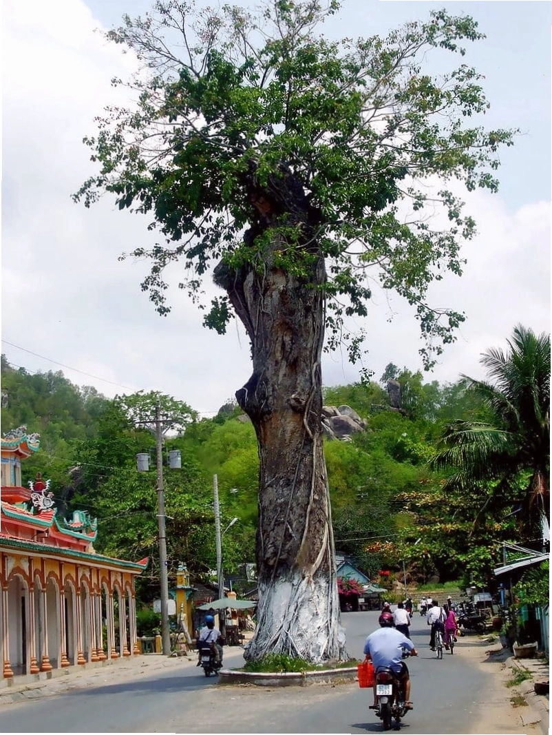 Cảnh quan núi non An Giang vào mùa đẹp nhất