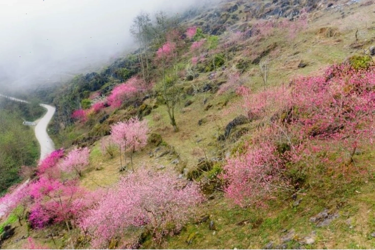 Cảnh quan núi non hùng vĩ của Hà Giang