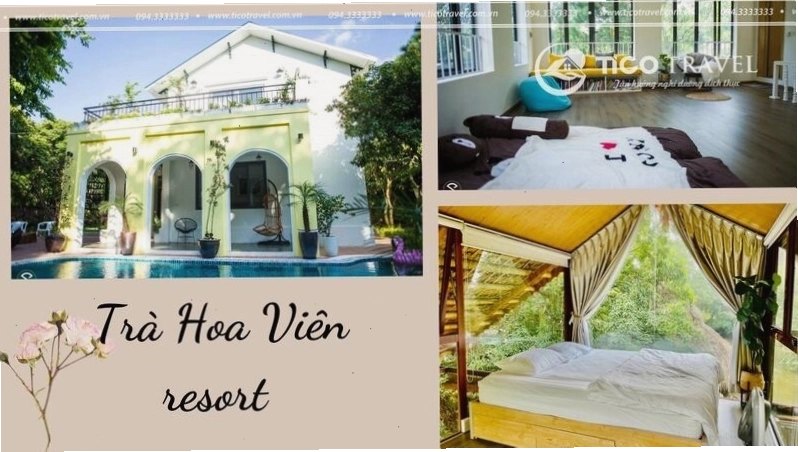 Cảnh quan rừng thông xanh mát tại một resort Sóc Sơn