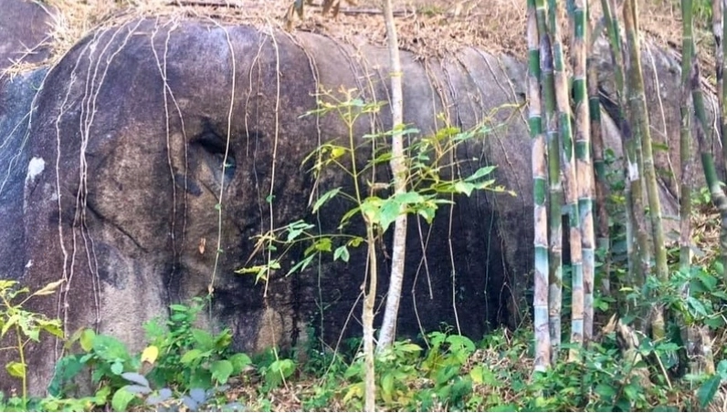 Cảnh quan thiên nhiên An Giang