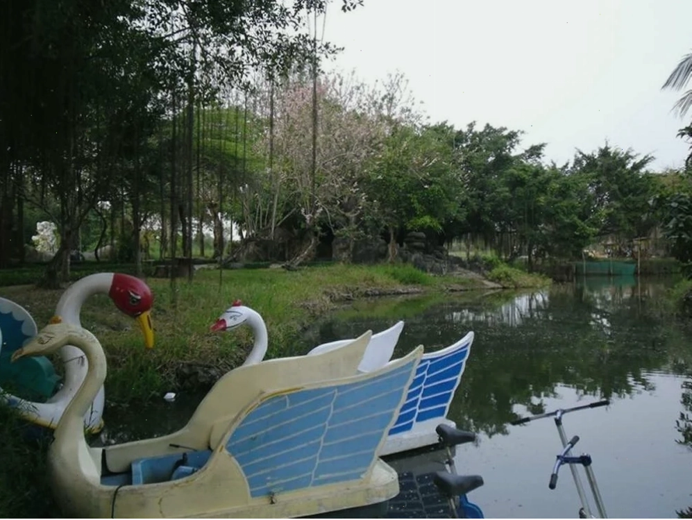 Cảnh quan thiên nhiên bên trong Công viên An Hòa