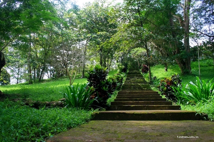 Cảnh quan thiên nhiên hoang sơ tại Suối Tre