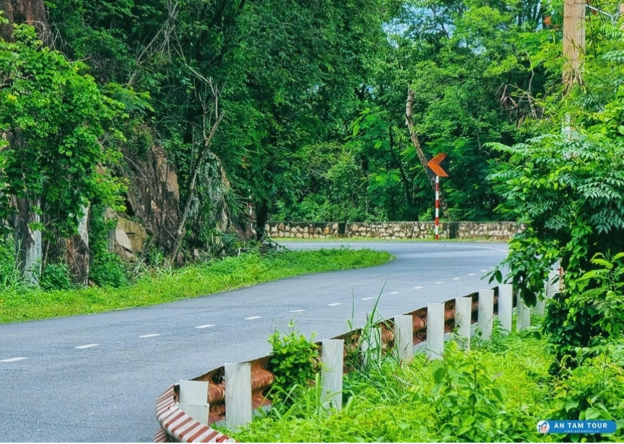 Cảnh quan thiên nhiên hoang sơ xung quanh Suối Tiên Núi Dinh