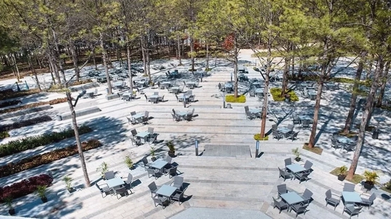 Cảnh quan thiên nhiên thơ mộng tại Terracotta Hotel & Resort Dalat với hoa và cây xanh