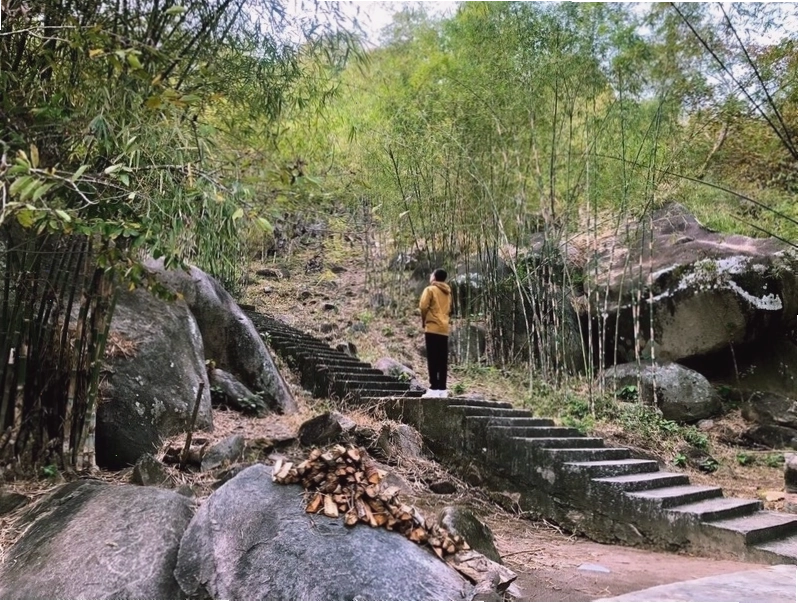 Cảnh quan thiên nhiên tươi đẹp tại An Giang