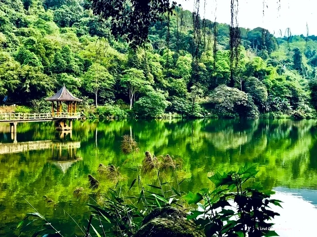 Cảnh quan thiên nhiên tươi đẹp tại Thiên Sơn Suối Ngà