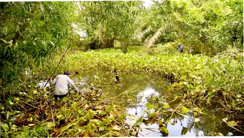 Cảnh quan tổng thể Công viên Văn hóa An Hòa về đêm