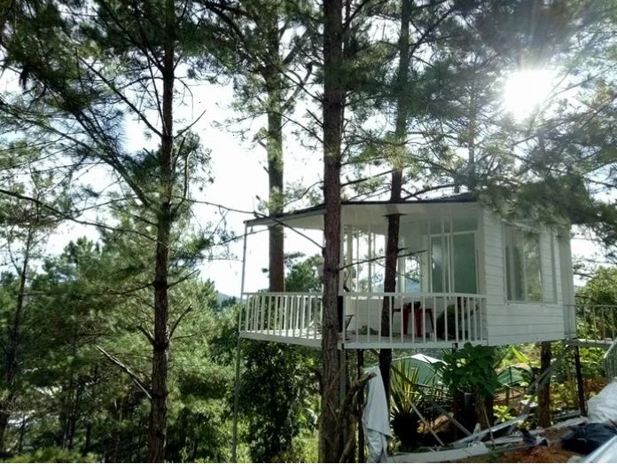 Cảnh quan trên đường đến Pine Hill homestay