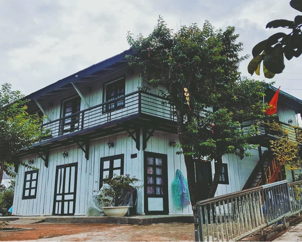Cảnh quan xanh mát bao quanh Mây Lang Thang
