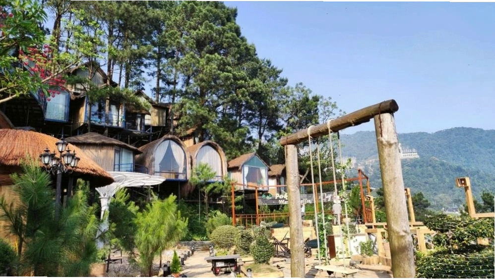 Cảnh quan xanh mát bao quanh Mimosa Villa Tam Đảo