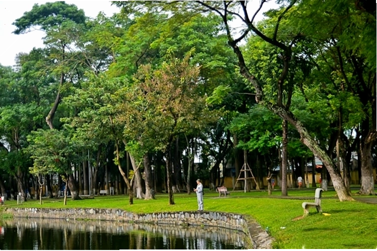 Cảnh quan xanh mát tại Công viên 29 tháng 3 Đà Nẵng