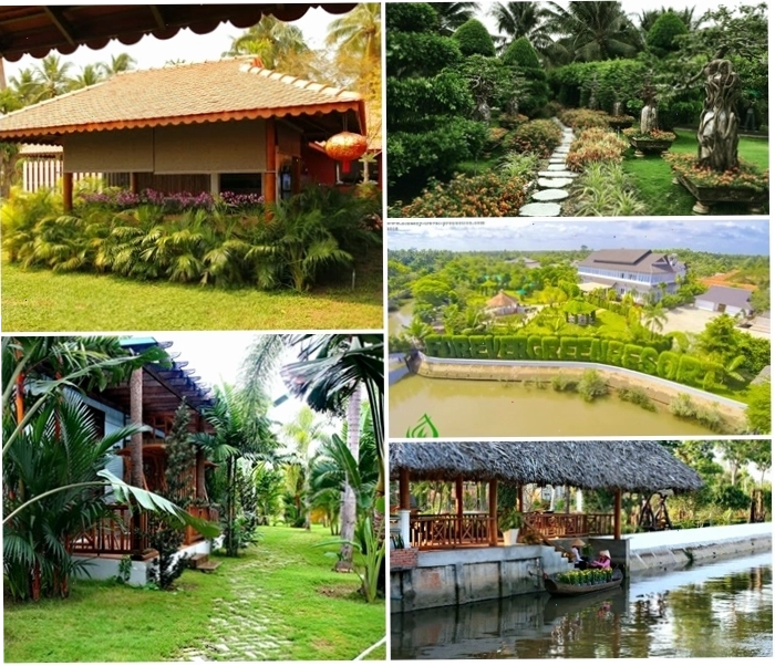 Cảnh quan xanh mát tại Forever Green Resort