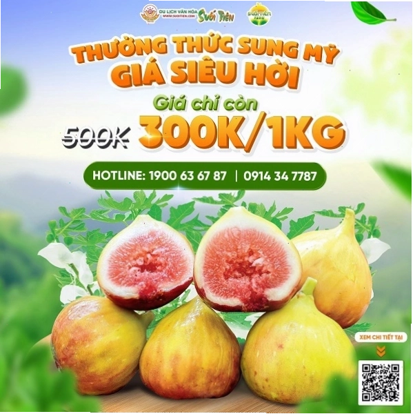 Cảnh quan xanh mát tại Suối Tiên Farm