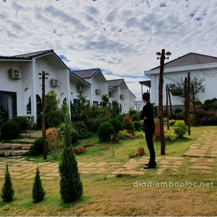Cảnh quan xanh mướt bao quanh Trang Homestay