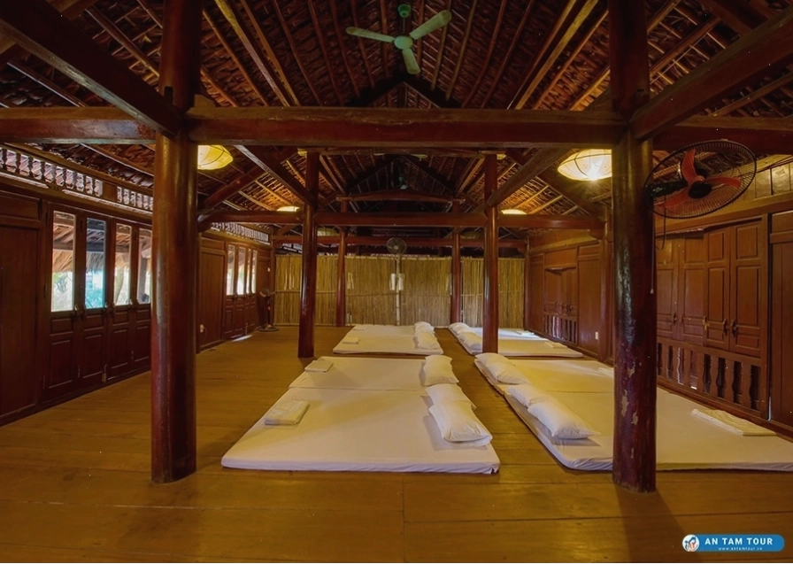 Cảnh quan xanh mướt