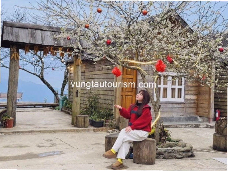 Cảnh quan xung quanh Homestay Tà Xùa Mùa Trứ