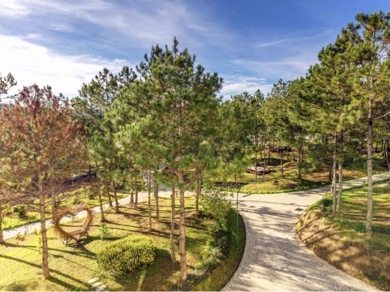 Cảnh quan xung quanh Rừng Lá Kim Resort