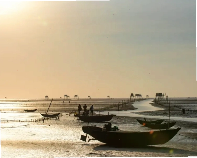 Cảnh quan yên bình tại biển Đồng Châu