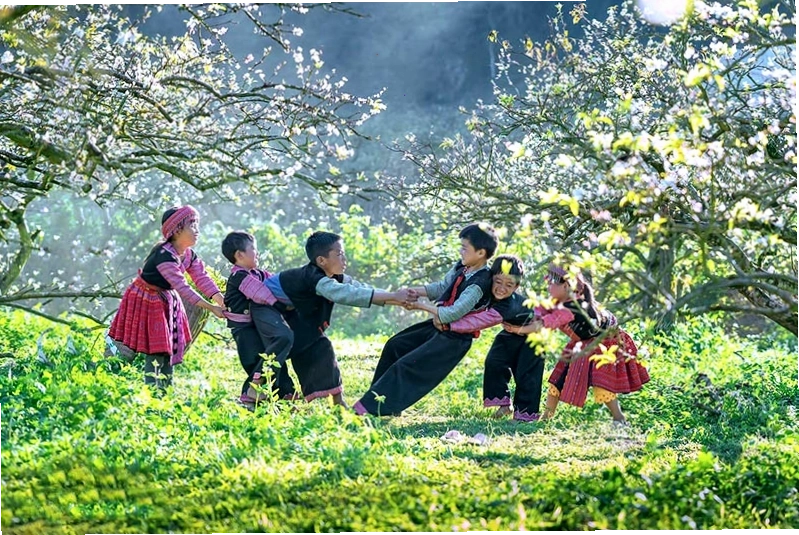 Cảnh sắc Mộc Châu mùa xuân với hoa đào, mận và đồi chè xanh mướt