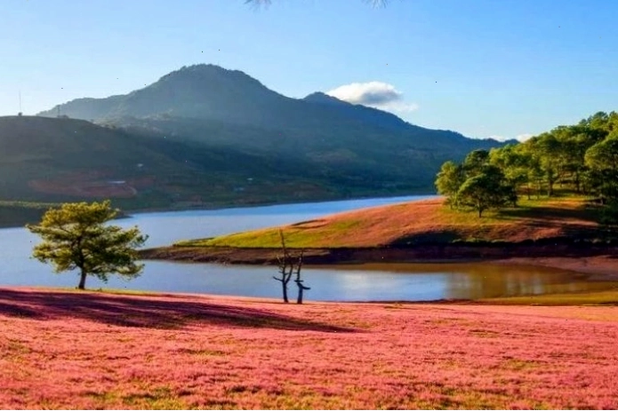 Cảnh sắc nên thơ tại Hồ Suối Vàng Đà Lạt