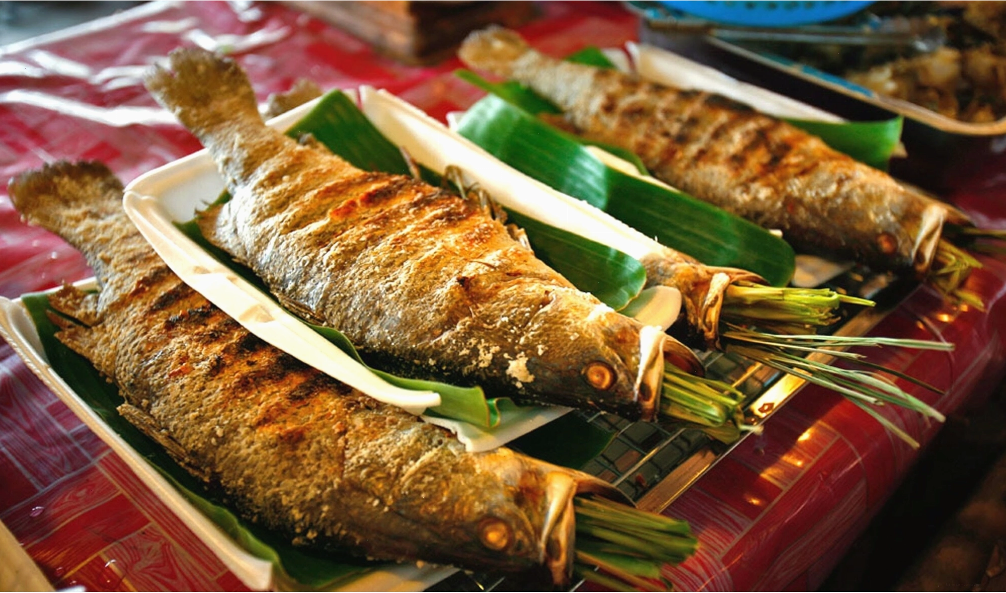 Cảnh sinh hoạt của người dân tộc bên Suối Mường Hoa