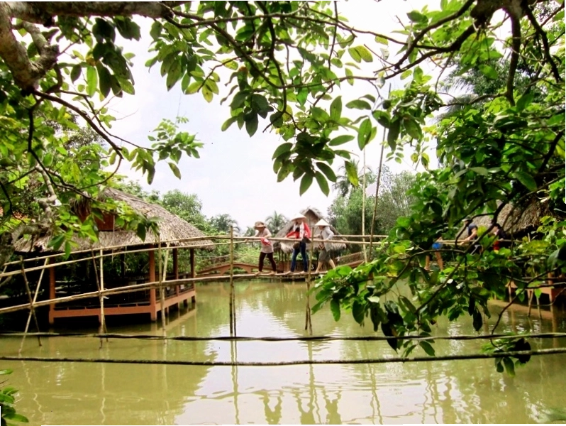 Cầu khỉ bắc ngang qua sông tại Cù lao Tân Quy