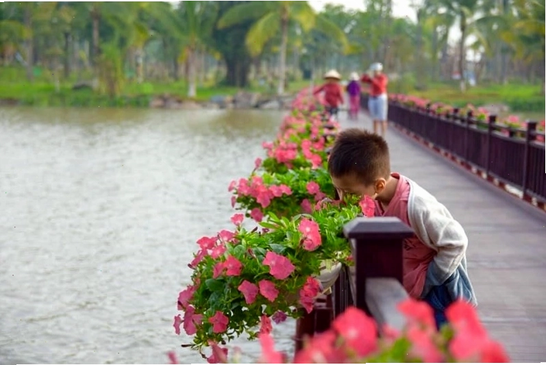 Cầu phao lãng mạn tại Công viên Hồ Thiên Nga Ecopark