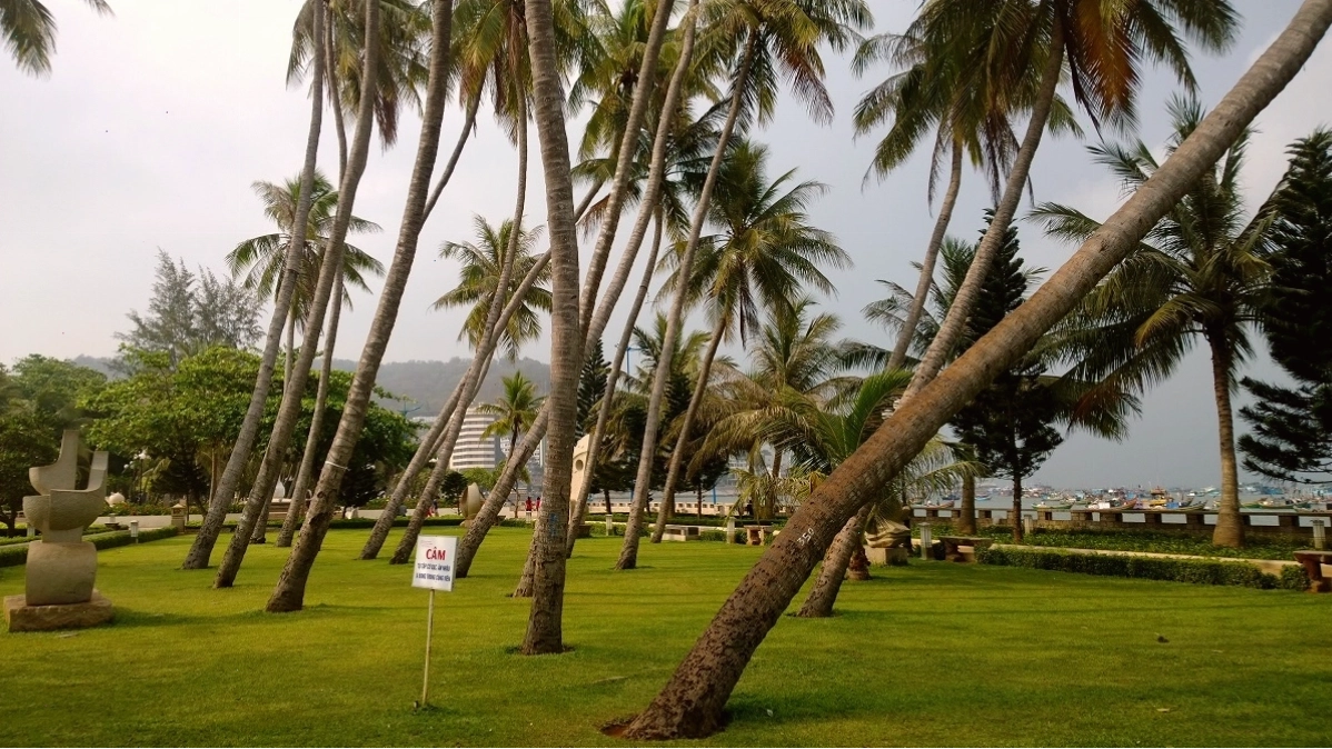 Cây bàng cổ thụ tạo điểm nhấn cho Công viên Bãi Trước