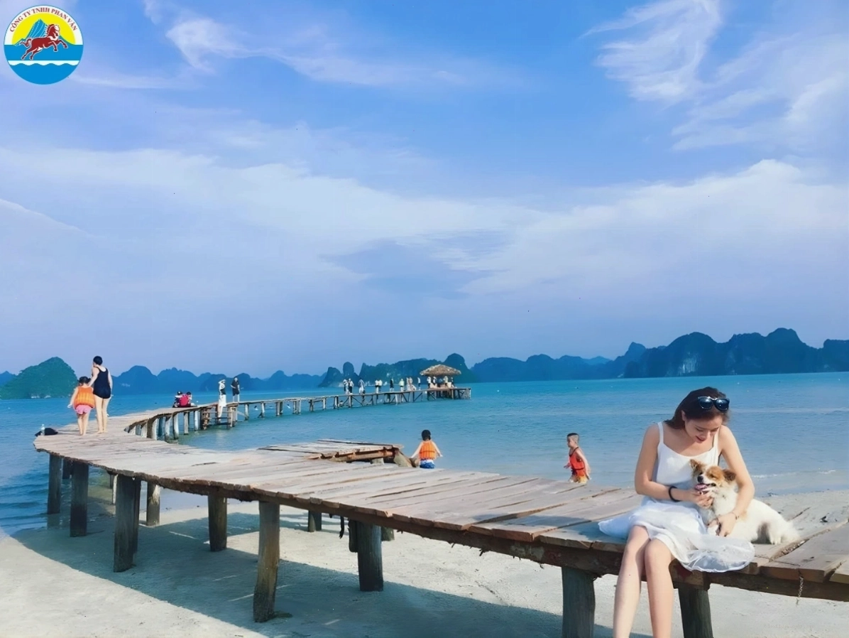 Cây cầu gỗ nổi tiếng tại Bãi Dài Vân Đồn