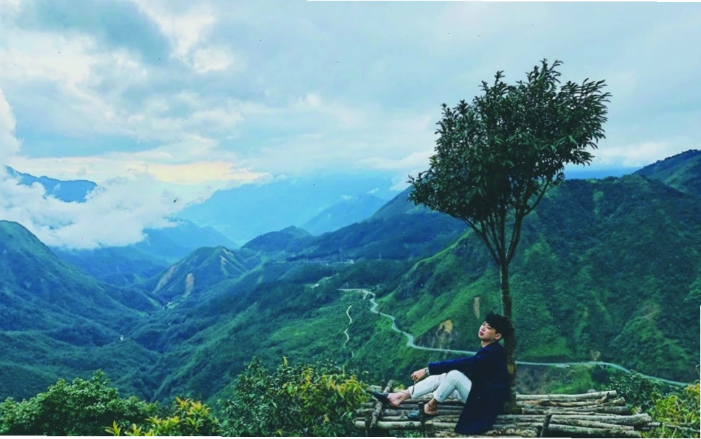Cây cô đơn giữa không gian Sapa thơ mộng