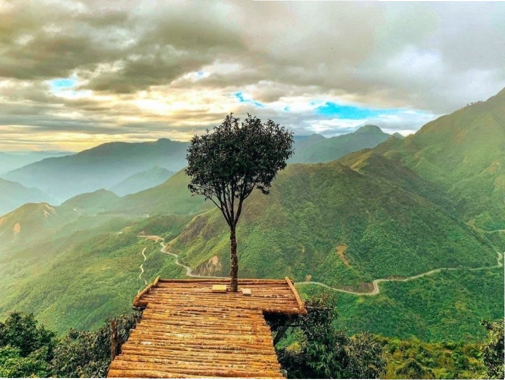 Cây Cô Đơn lặng lẽ nằm trên đèo Ô Quy Hồ, một biểu tượng của sự cô độc giữa thiên nhiên hùng vĩ