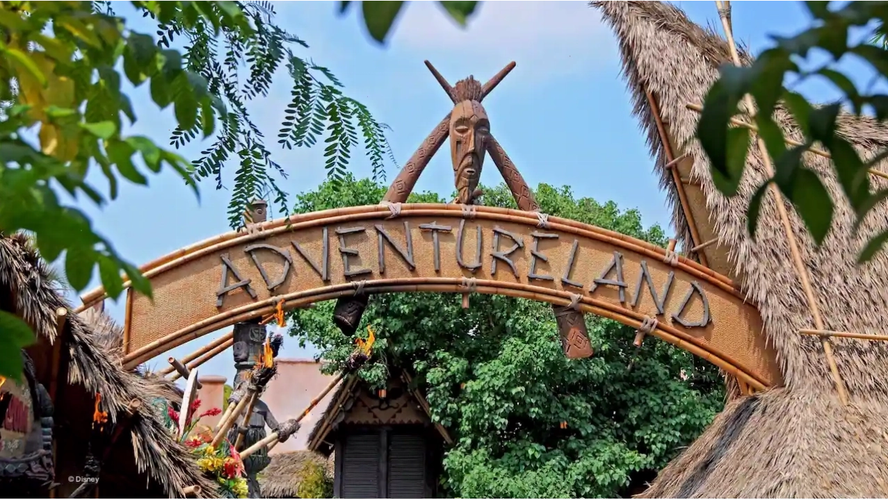 Cây cổ thụ khổng lồ trong khu vực Adventureland