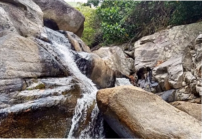 Cây cối xanh tươi bao quanh Suối Lách