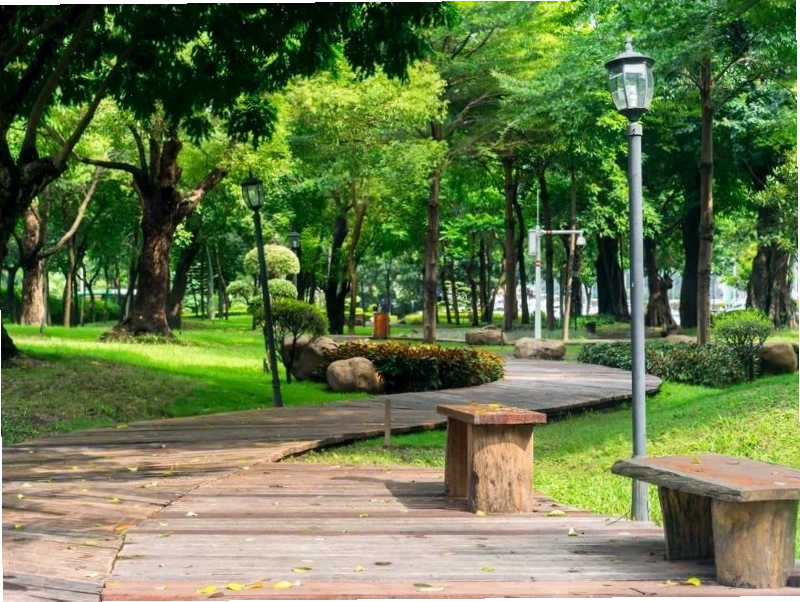 Cây xanh bao phủ tạo bóng mát tại Công viên Lê Thị Riêng