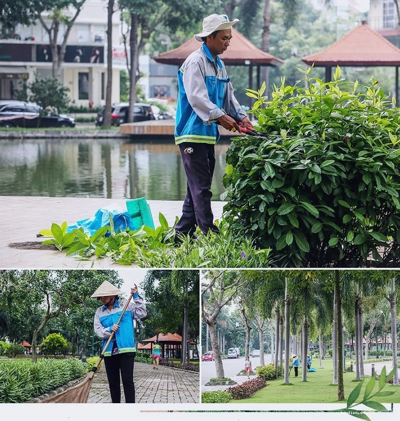 Cây xanh cổ thụ tạo bóng mát cho Công viên Nam Viên