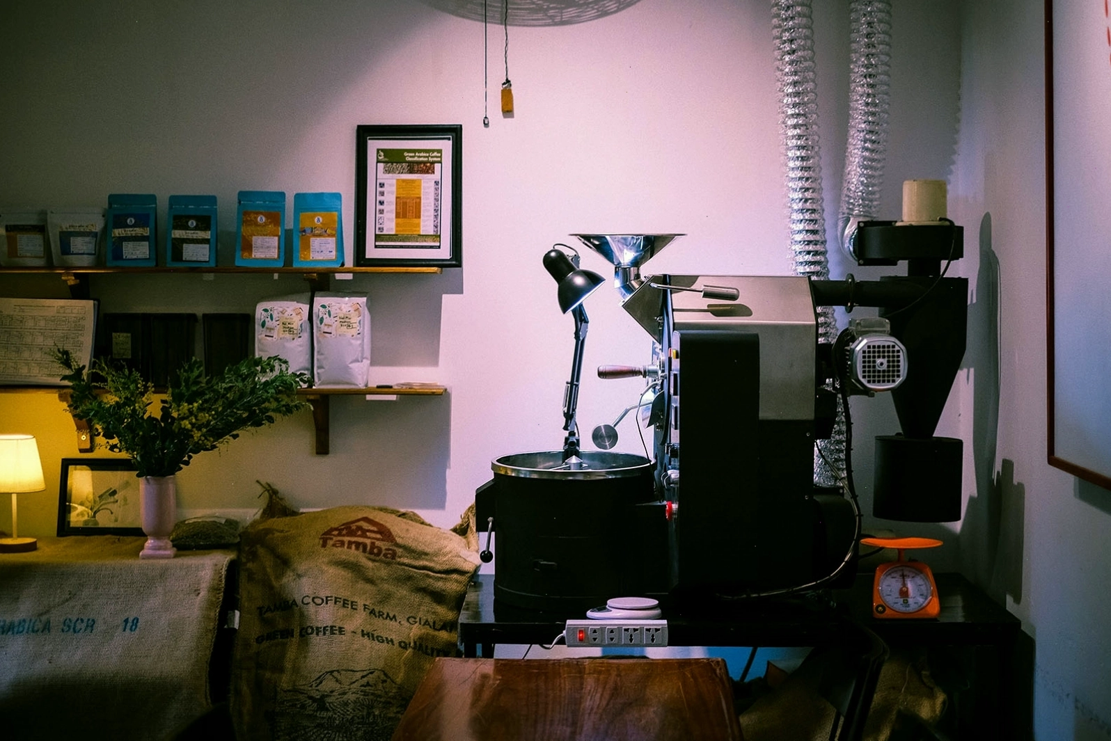 Cây xanh được bài trí hài hòa trong không gian Àla Cafe