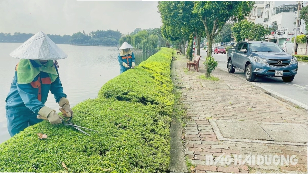 Cây xanh và thảm cỏ rực rỡ sắc màu tại Công viên Bạch Đằng Hải Dương