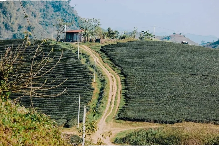 Chi tiết các tuyến đường và địa danh quan trọng trên bản đồ Mộc Châu