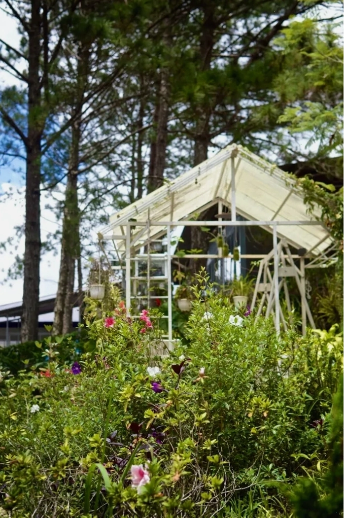 Chi tiết một góc vườn tại Pine Hill homestay