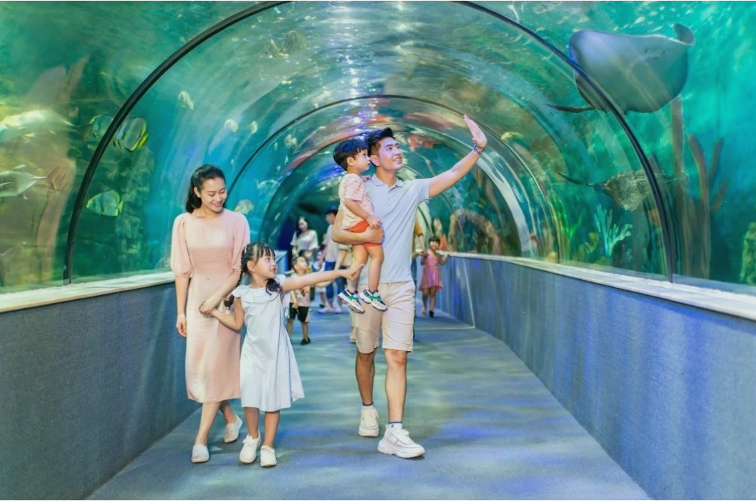 Chiêm ngưỡng các loài sinh vật biển đa sắc màu