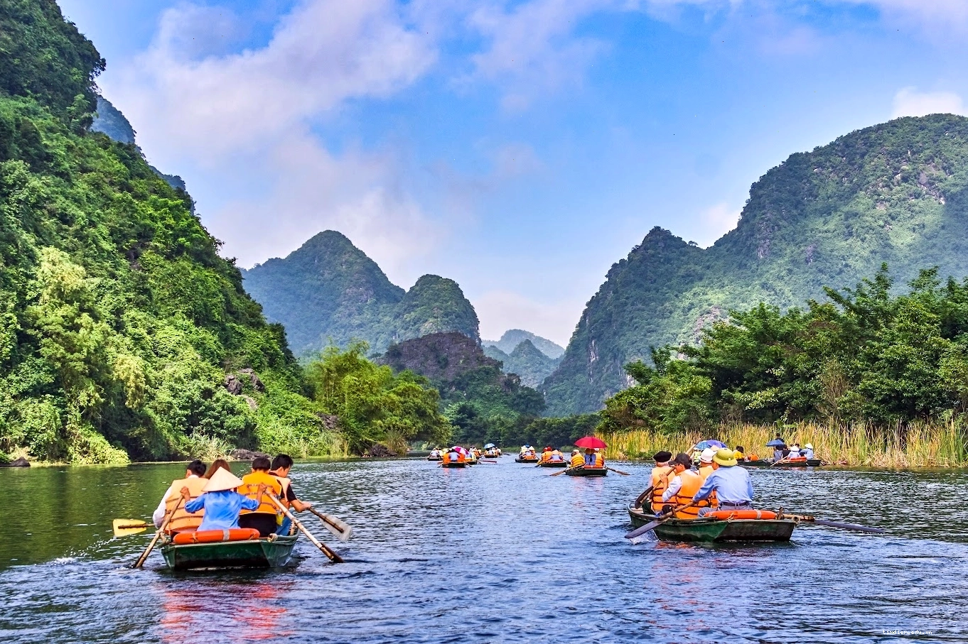 Chiêm ngưỡng mô hình khủng long từ nhiều góc độ