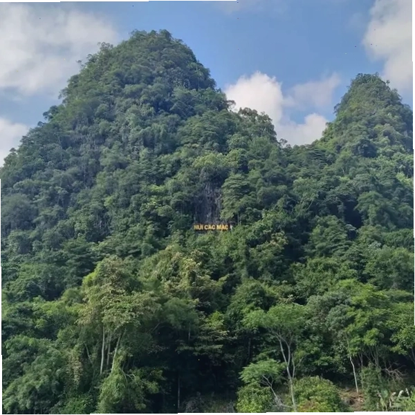 Con đường mòn dẫn vào hang Pác Bó