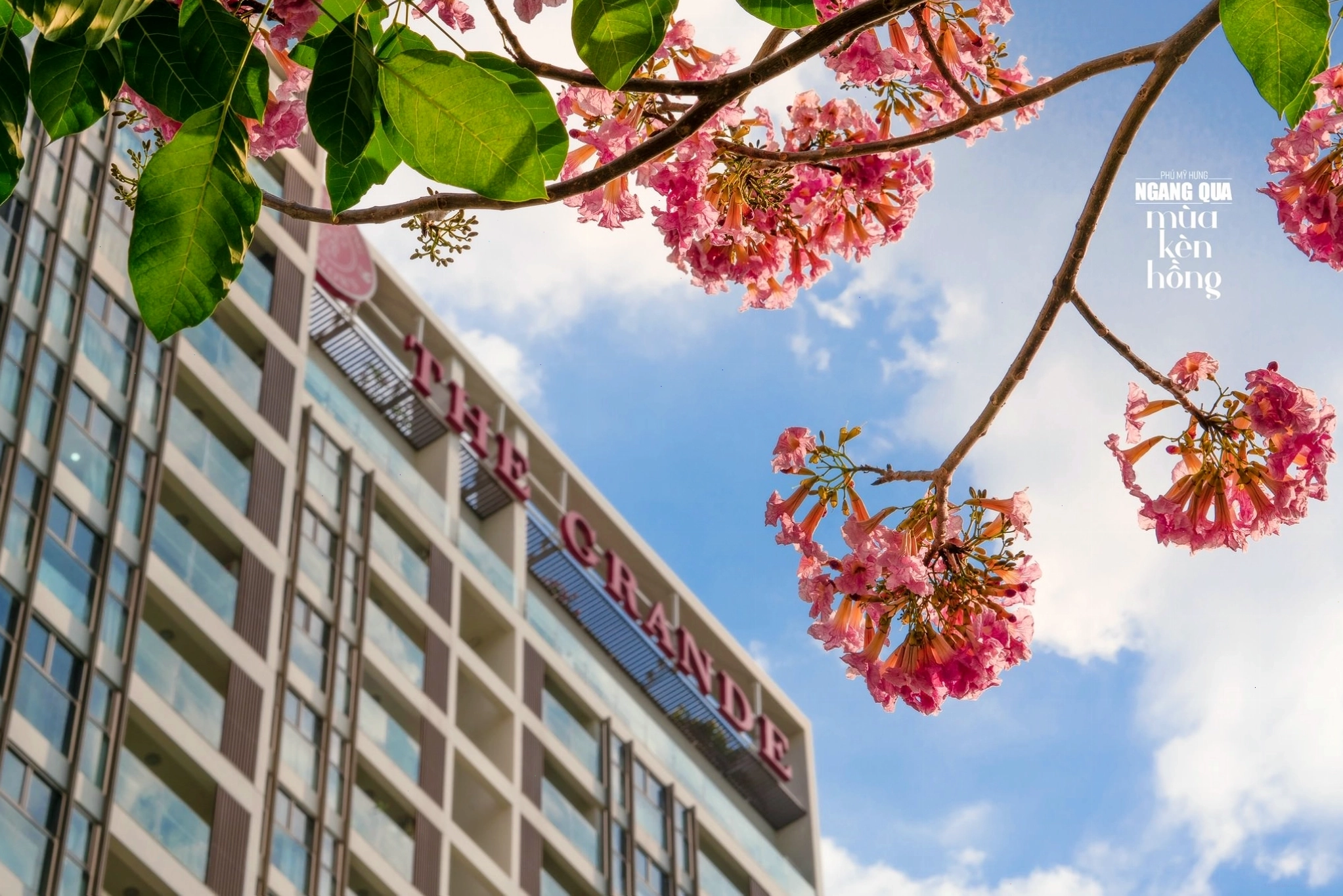 Con đường tản bộ ven sông tại Sakura Park