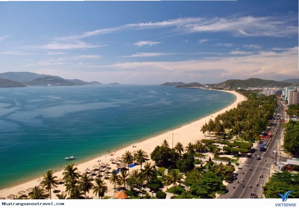 Con đường Trần Phú ven biển Nha Trang với hàng dừa xanh mát