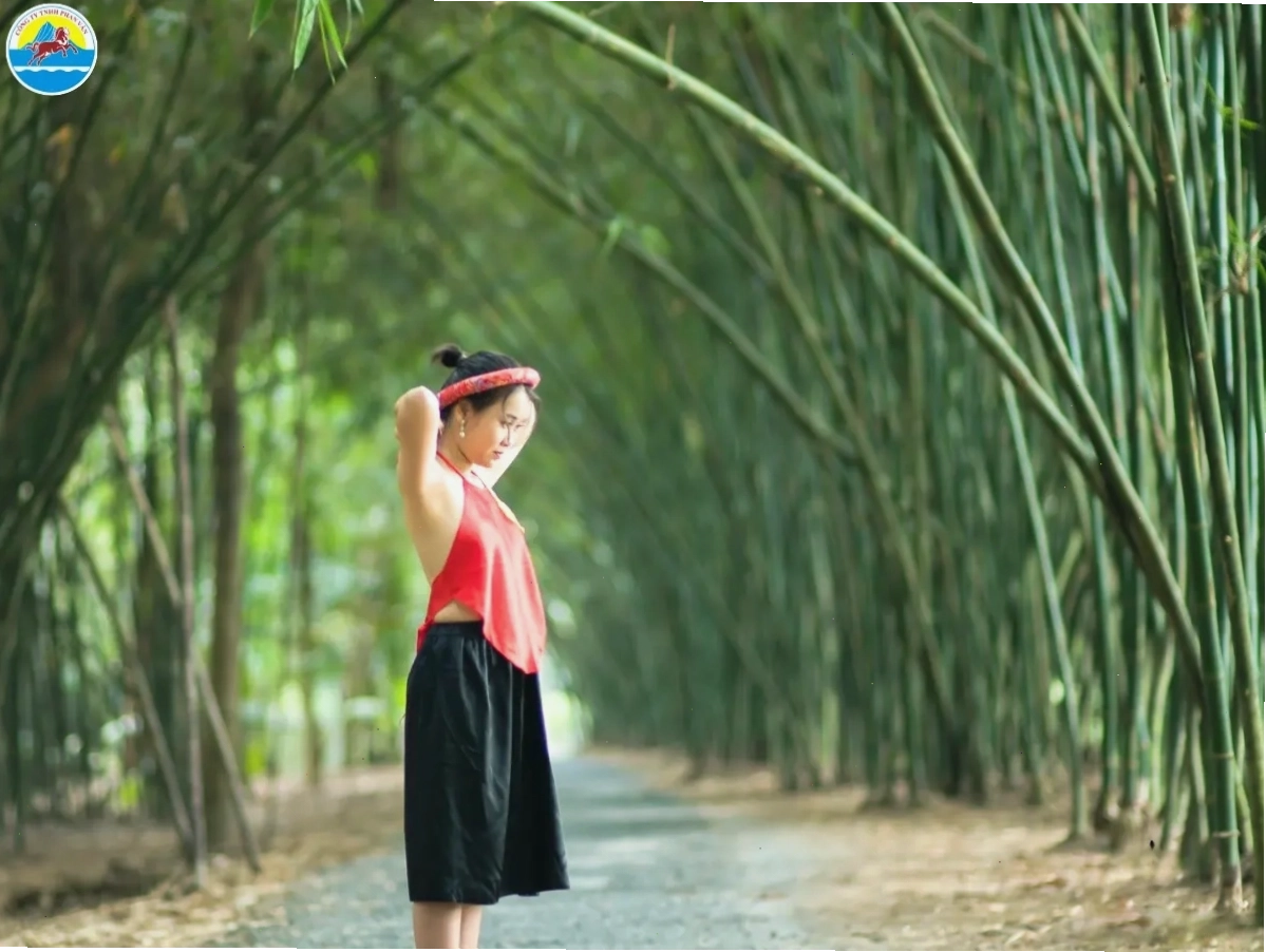Con đường tre Tư Sang xanh mướt tạo nên khung cảnh thơ mộng