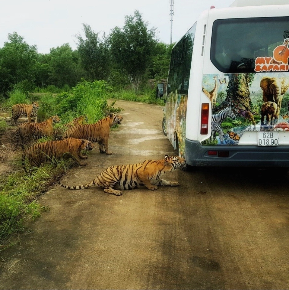 Cổng chào Mỹ Quỳnh Safari - Vườn thú cách Sài Gòn chỉ 40km