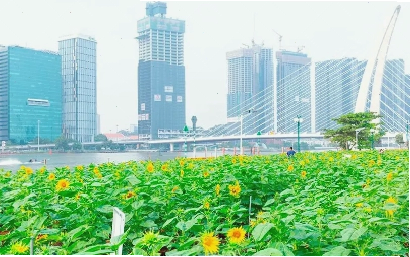 Công viên bờ sông Sài Gòn là địa điểm thu hút ở Sài Gòn